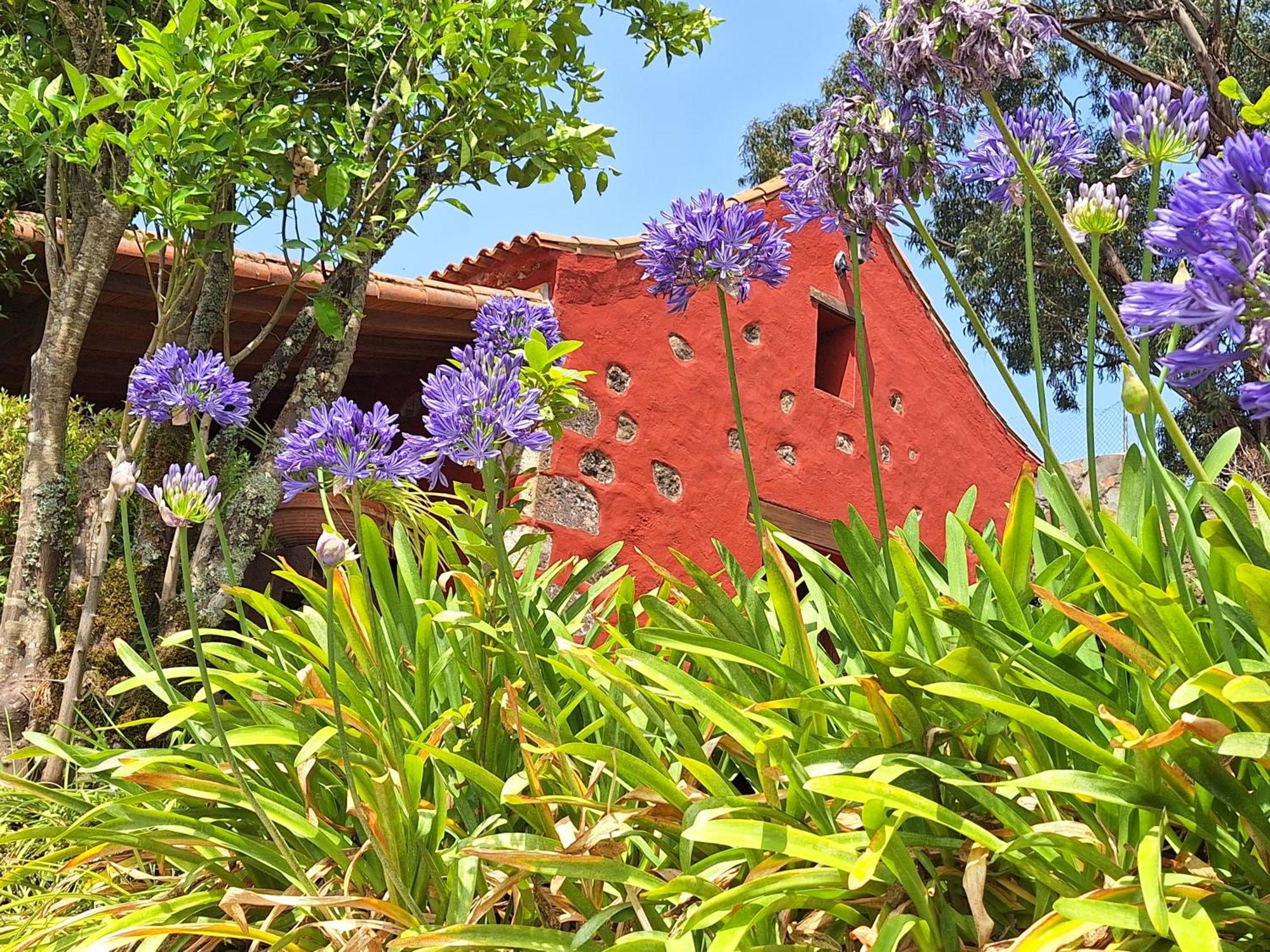 Casa Rural Con Piscina Privada El Roble Moya  Exterior foto