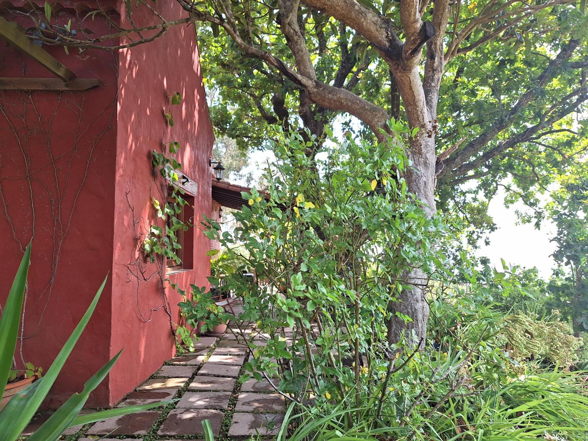 Casa Rural Con Piscina Privada El Roble Moya  Exterior foto